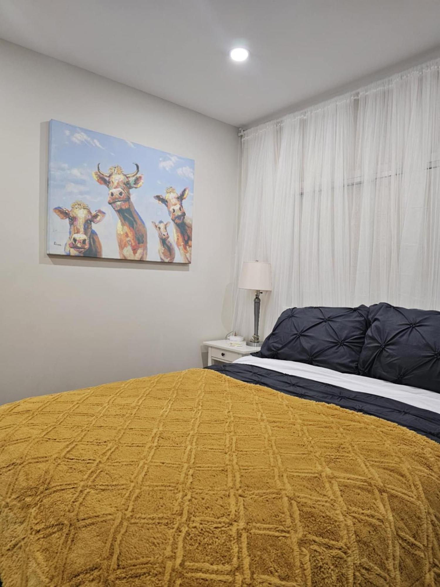 A Pet Lovers Paradise Toronto